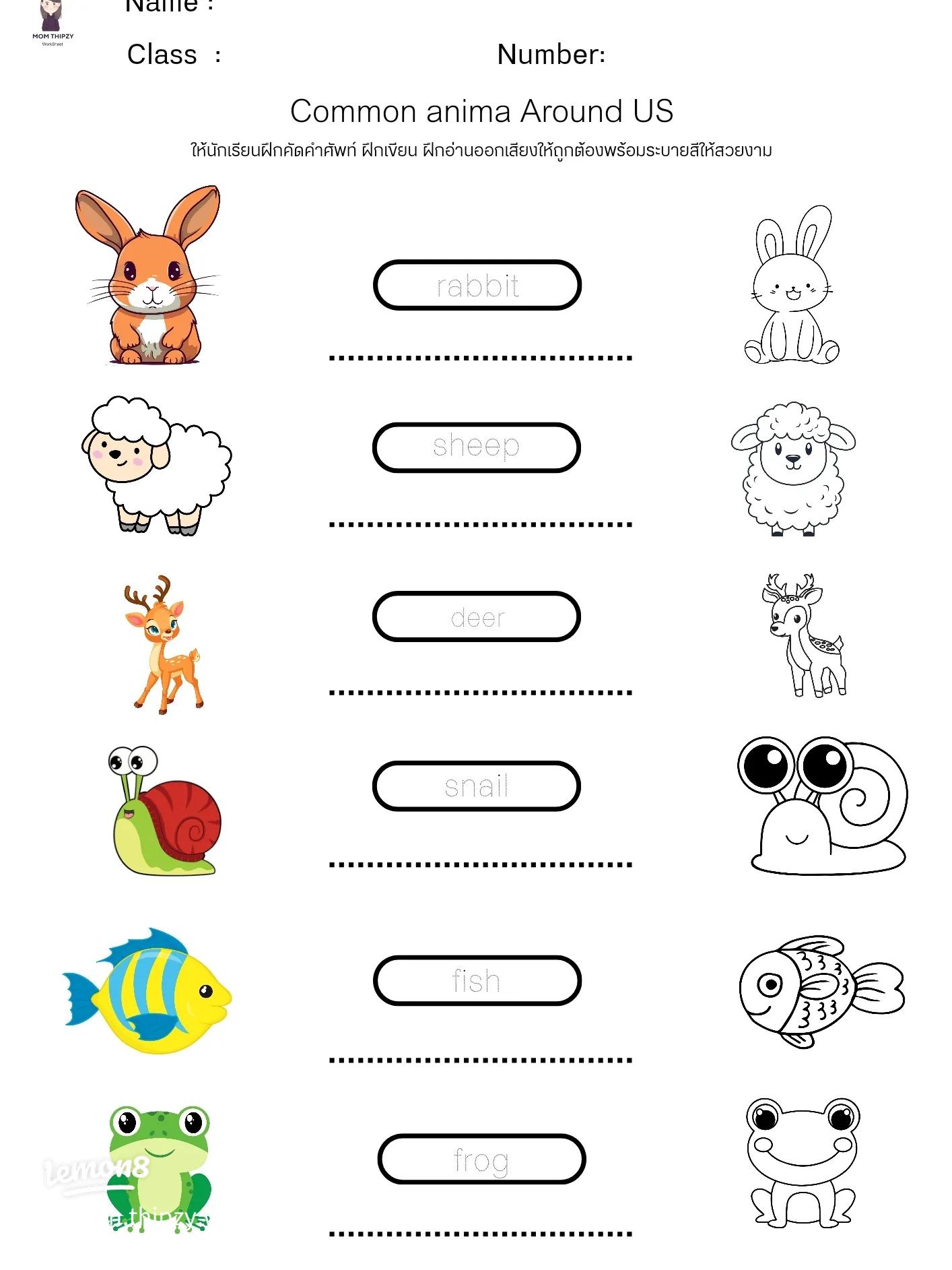 แบบฝึกหัดภาษาอังกฤษประถม เข้าใจง่าย เด็กๆ ชอบทำ สนุกมาก
