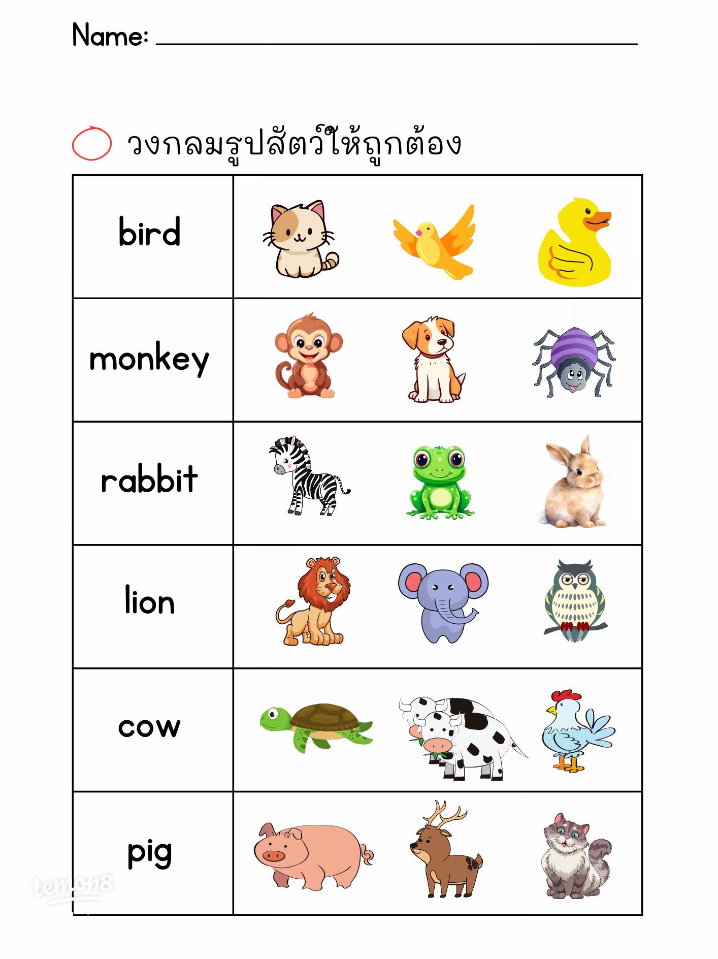 คํา ศัพท์ ภาษา อังกฤษ ป 1 พร้อม รูปภาพ จำง่าย เด็กๆ ชอบแน่นอน